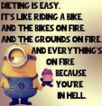 /album/fotogalleri/minion-on-diet-jpg/